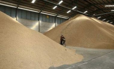 Прогнозы сбора урожая зерновых в России 2012, хранилища зерна, урожай зерна 2012, урожай злаковых 2012