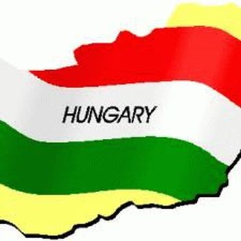 Рейтинг кредитоспособности Венгрии понижен.