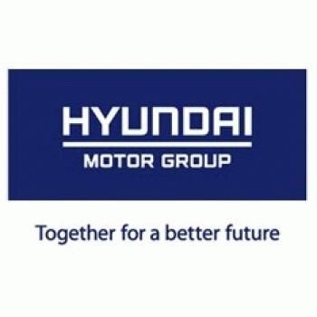 Компания Hyundai Motor Group предположила уровень продаж 2013 года