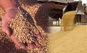 Таможенная пошлина на экспорт зерна отменена